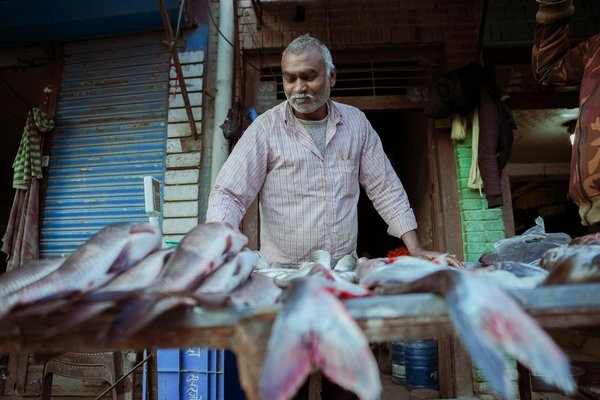 Exploring the Impact of Emergency Service Access on Newcastle Property Insurance Rates